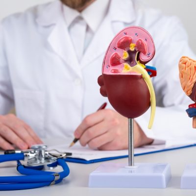 Hypertension & Kidney Health – Tips to Protect Both